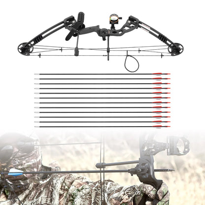 Hunting Kit Aluminum Alloy Compound Bow for Adults Draw Weight and Cams Fully Adjustable  Archery Equipment